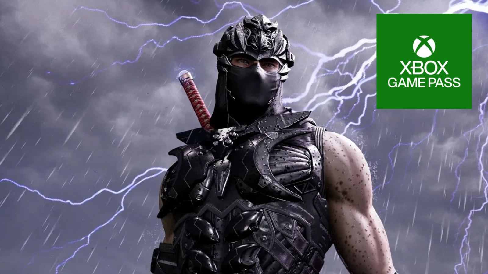 ninja gaiden 