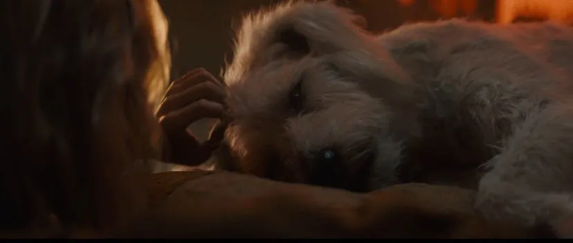 Krypto bande-annonce Supergirl